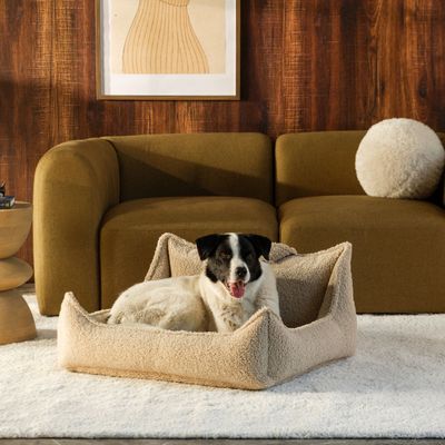 Fauteuil pour animaux L Biscuit